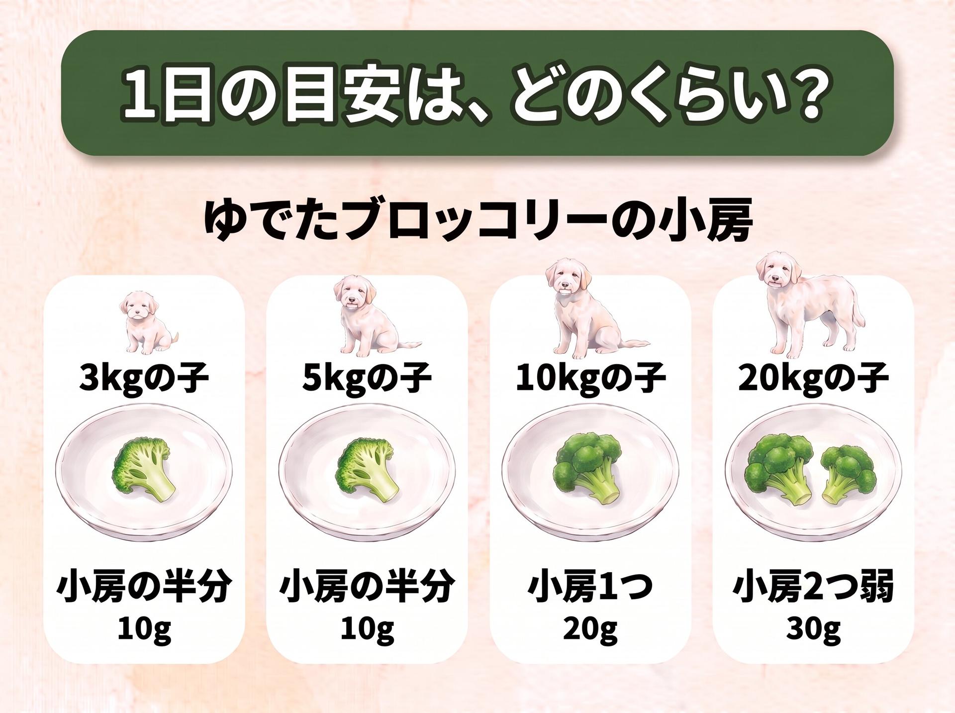 図解「1日の目安は、どのくらい?」ゆでたブロッコリーの小房(体重に合わせて大きさの違う犬のイラストつき):3kgの子は小房の半分(10g)、5kgの子は小房の半分(10g)、10kgの子は小房1つ(20g)、20kgの子は小房2つ弱(30g)