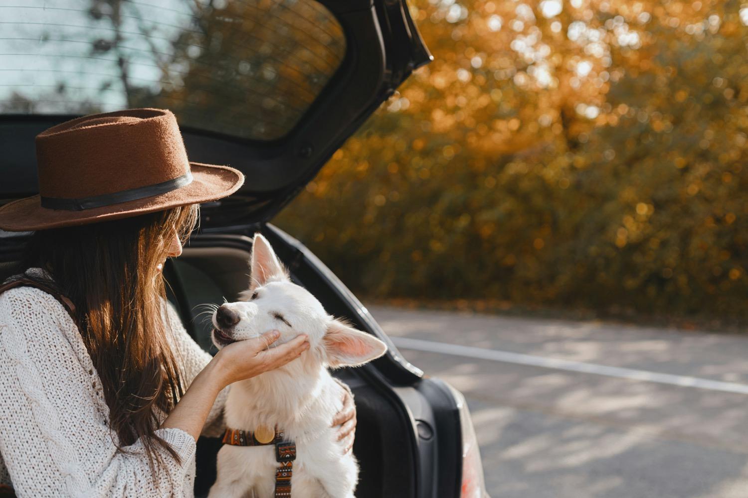 紅葉した並木道で、ハッチバックを開けた車のそばにしゃがみ、白い犬の顔を両手で包んでいる帽子の女性