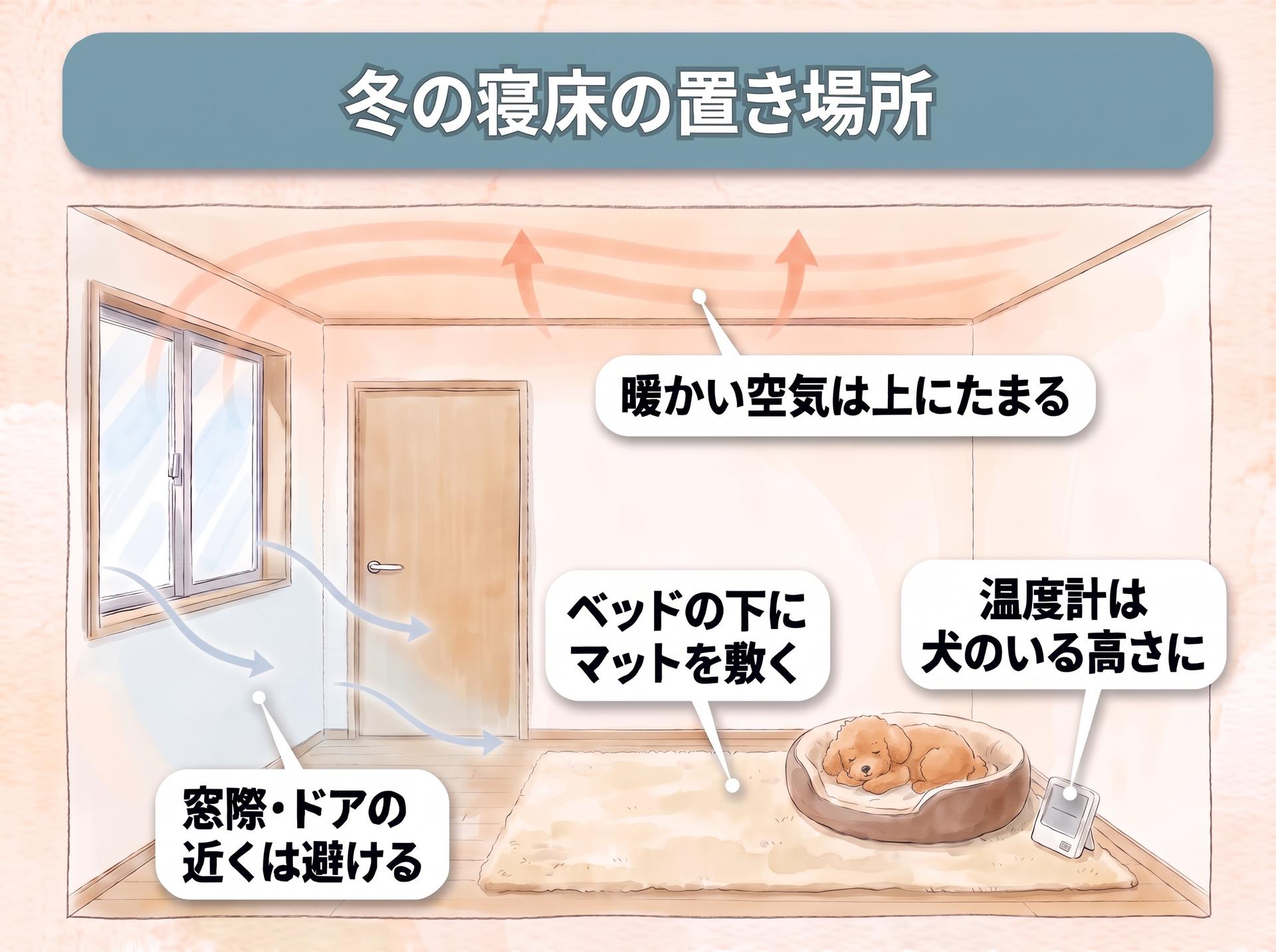 冬の部屋の図。暖かい空気は天井の近くにたまり、窓とドアのすき間から冷たい空気が入ってくる。寝床は窓とドアから離し、ベッドの下にマットを敷いて、温度計は犬のいる床の近くに置く