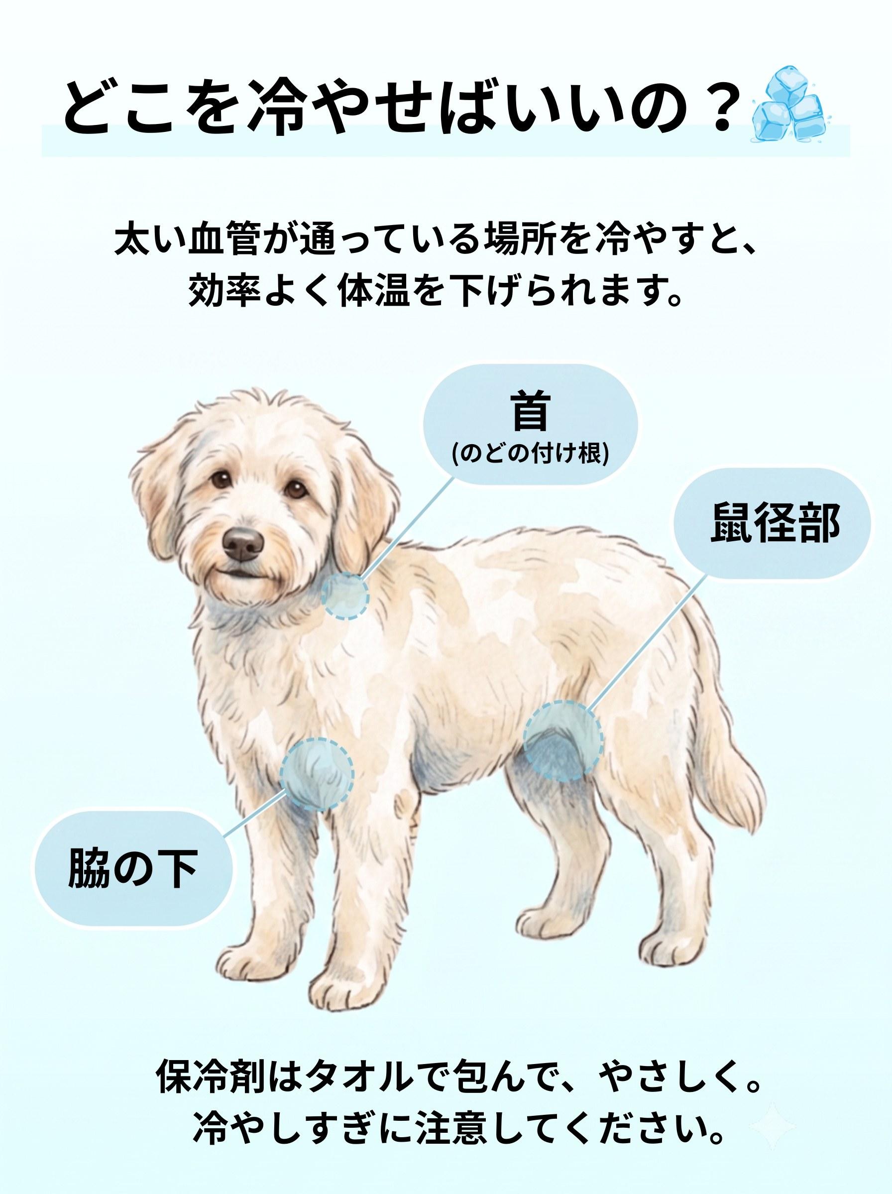 図解:どこを冷やせばいいの