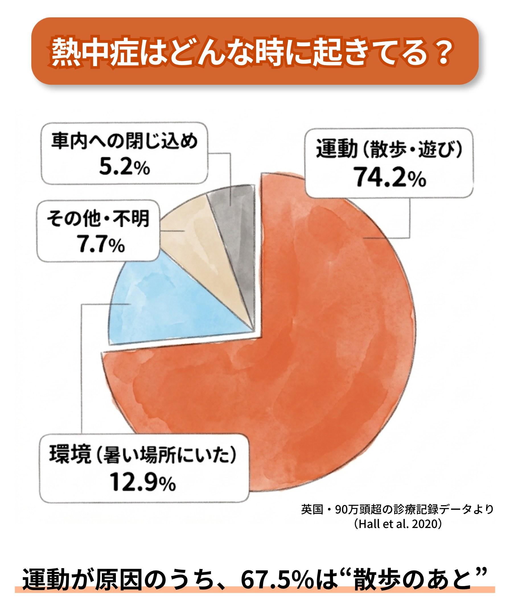 図解「熱中症はどんな時に起きてる？」：運動74.2%・環境12.9%・その他7.7%・車内5.2%。運動が原因のうち67.5%は散歩のあと