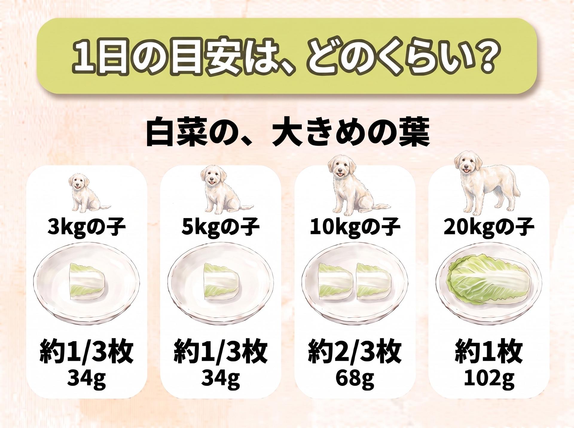 図解「1日の目安は、どのくらい?」白菜の大きめの葉(体重に合わせて大きさの違う犬のイラストつき):3kgの子は約1/3枚(34g)、5kgの子は約1/3枚(34g)、10kgの子は約2/3枚(68g)、20kgの子は約1枚(102g)