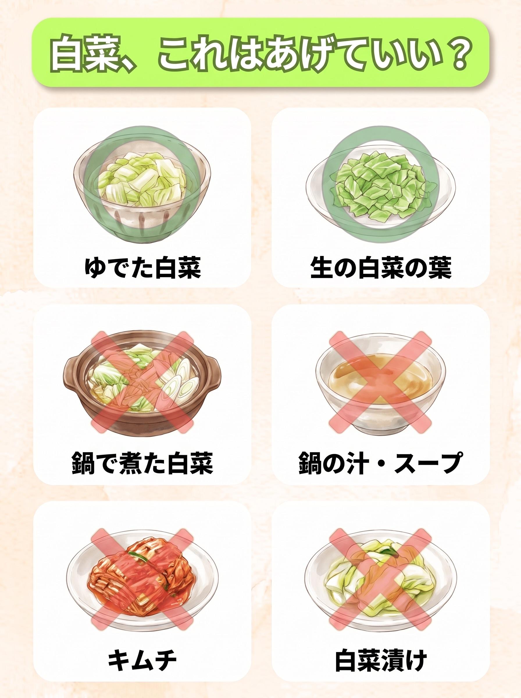 図解「白菜、これはあげていい?」:ゆでた白菜(○)/生の白菜の葉(○)/鍋で煮た白菜(×)/鍋の汁・スープ(×)/キムチ(×)/白菜漬け(×)の6コマ