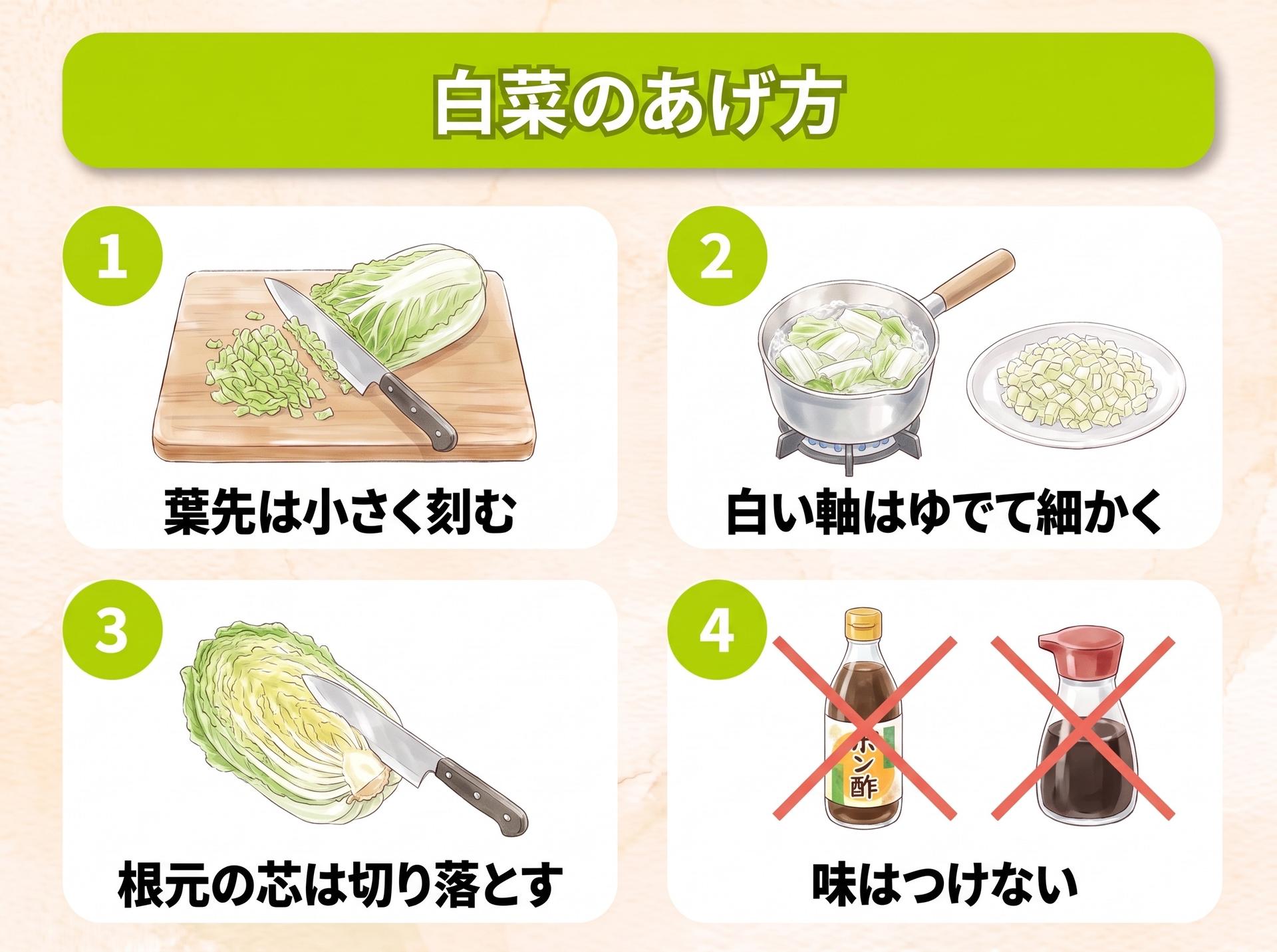 図解「白菜のあげ方」:1 葉先は小さく刻む/2 白い軸はゆでて細かく/3 根元の芯は切り落とす/4 味はつけない