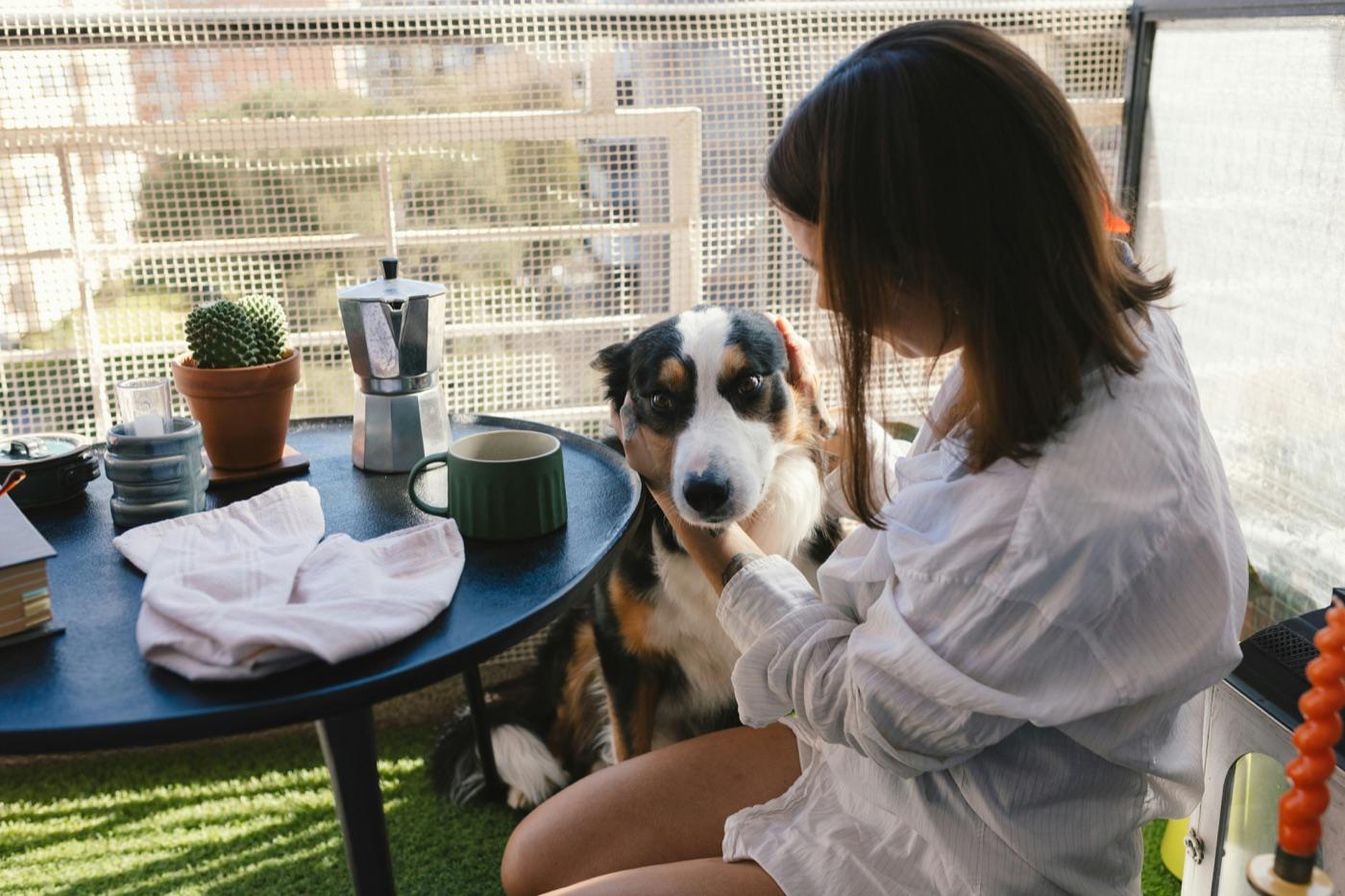 ベランダの低い丸テーブルに緑のマグカップとコーヒーポット。その横で飼い主に撫でられる犬
