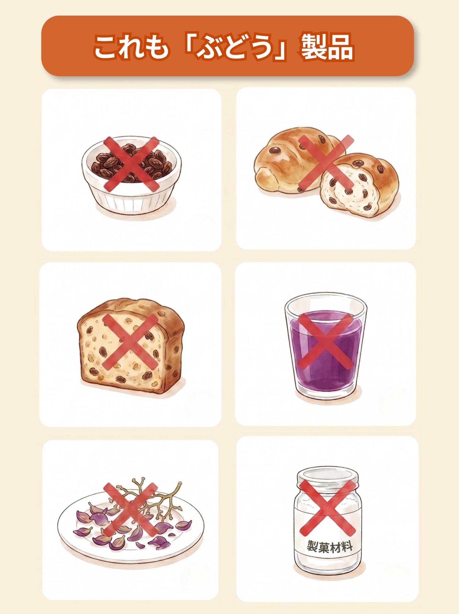 図解「これも「ぶどう」製品」:レーズン/レーズンパン/パウンドケーキ/ぶどうジュース/ぶどうの皮と軸/製菓材料(クリームオブターター)の6つ。いずれも赤いバツ印つき