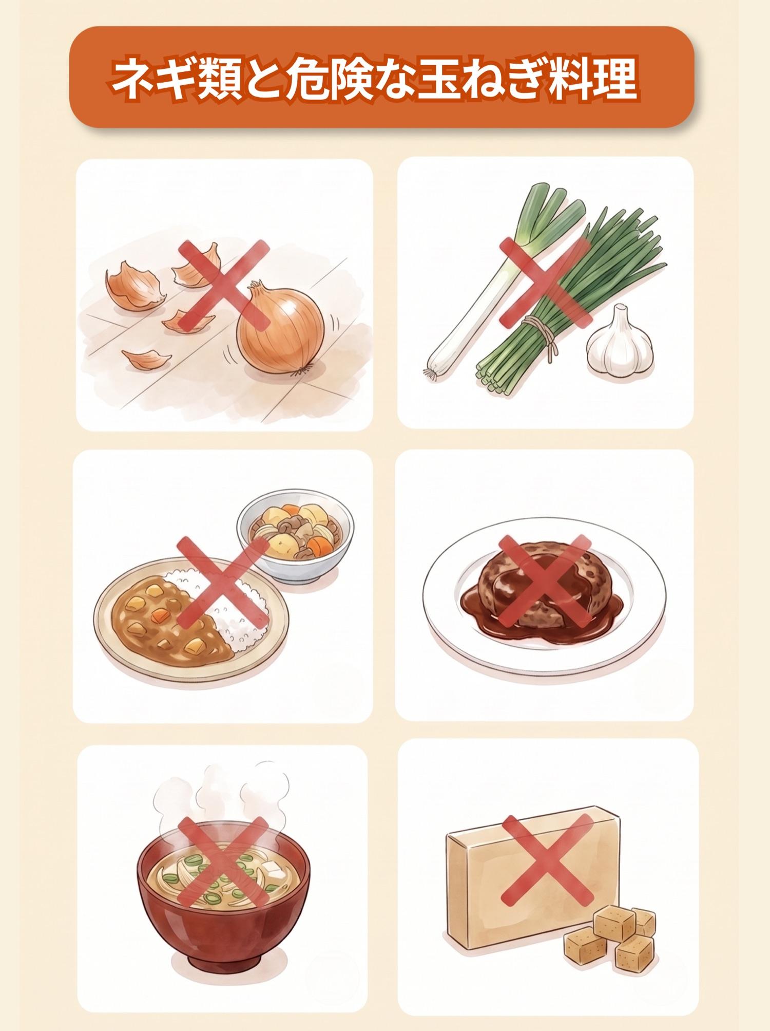 図解「ネギ類と危険な玉ねぎ料理」:床に落ちた玉ねぎと皮/長ねぎ・ニラ・にんにく/カレーと肉じゃが/ハンバーグ/味噌汁/コンソメの6つ。いずれも赤いバツ印つき