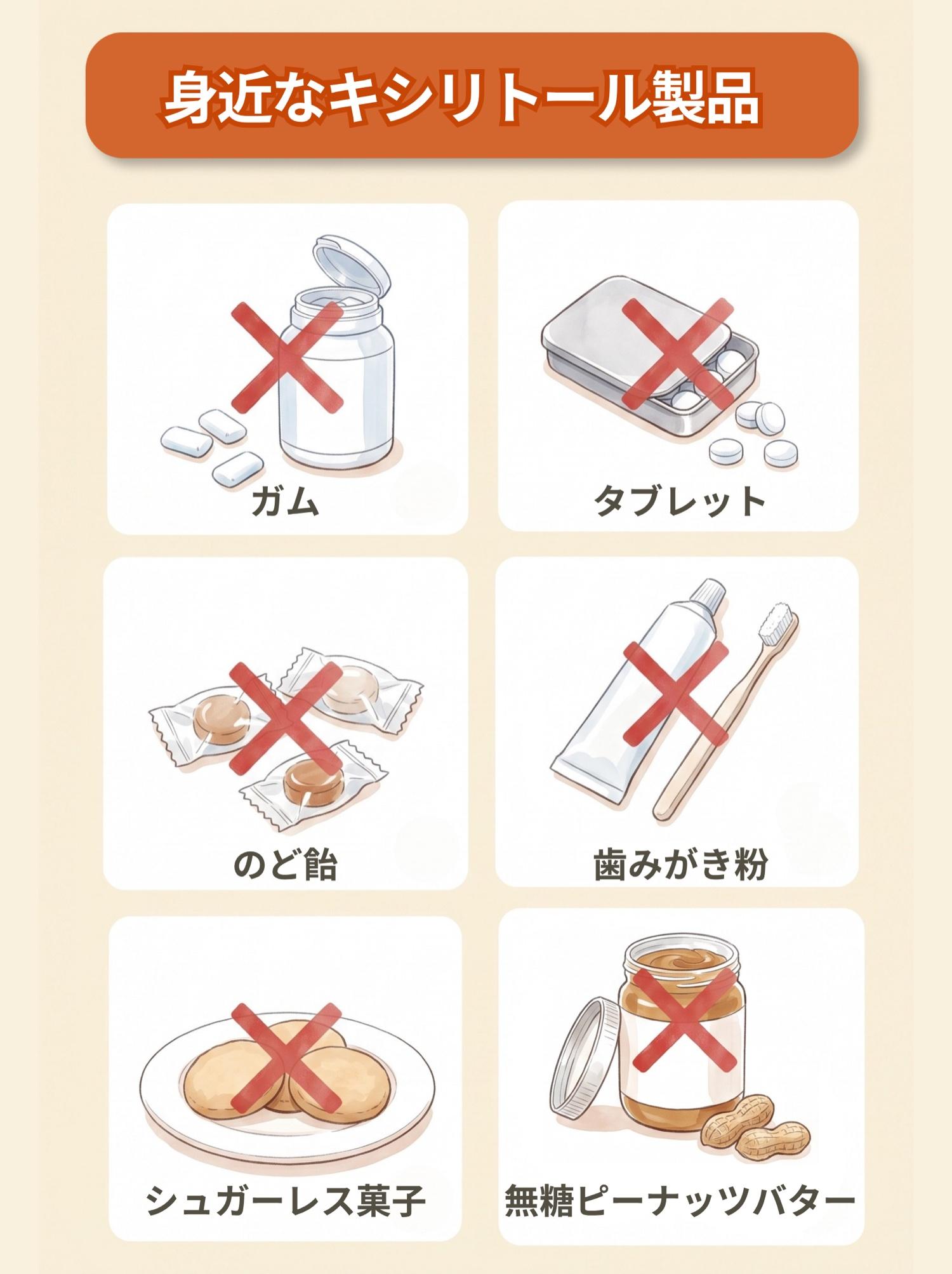 図解「身近なキシリトール製品」:ガム/タブレット/のど飴/歯みがき粉/シュガーレス菓子/無糖ピーナッツバターの6つ。いずれも赤いバツ印つき