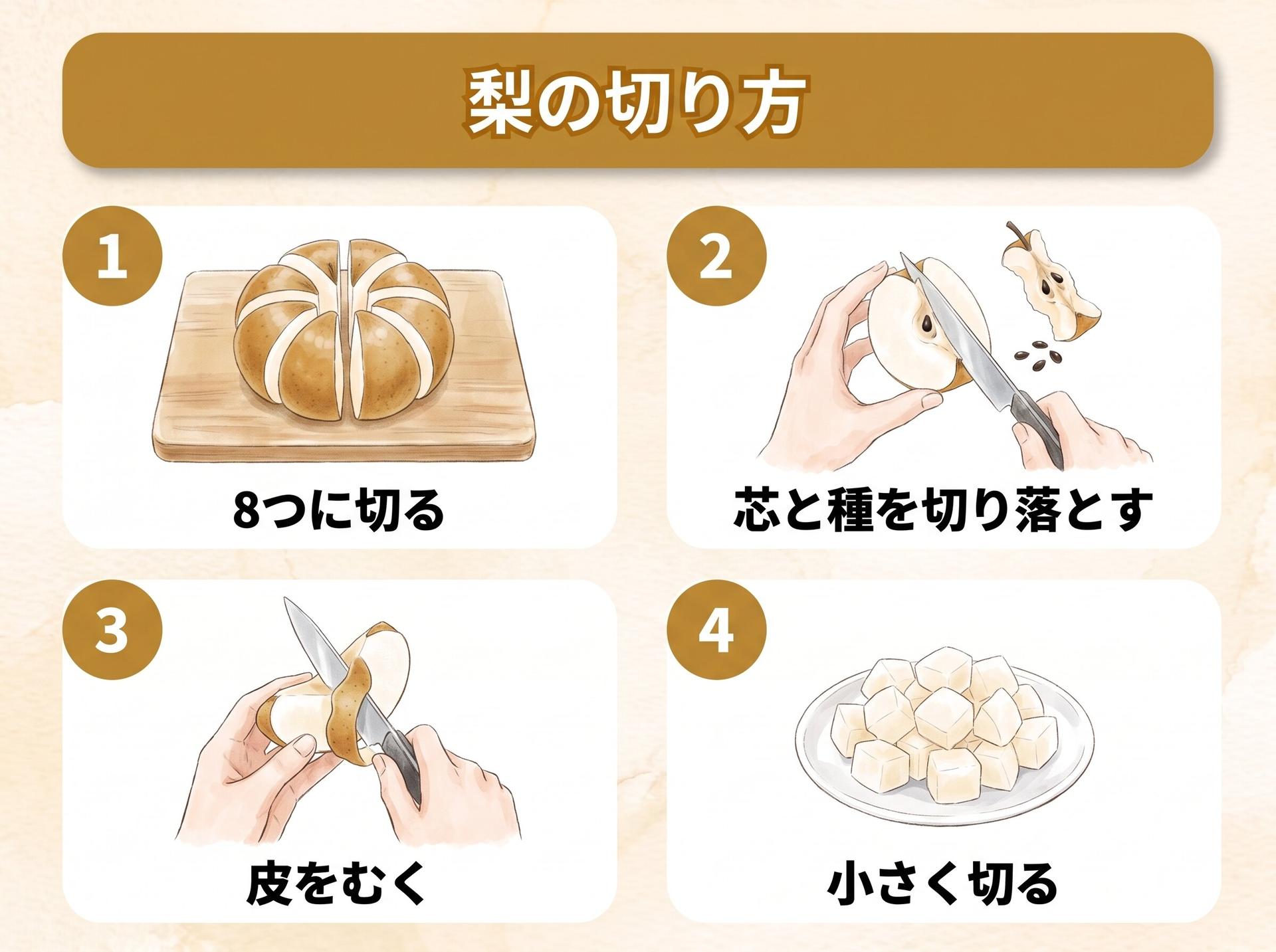 図解「梨の切り方」:1 8つに切る/2 芯と種を切り落とす/3 皮をむく/4 小さく切る