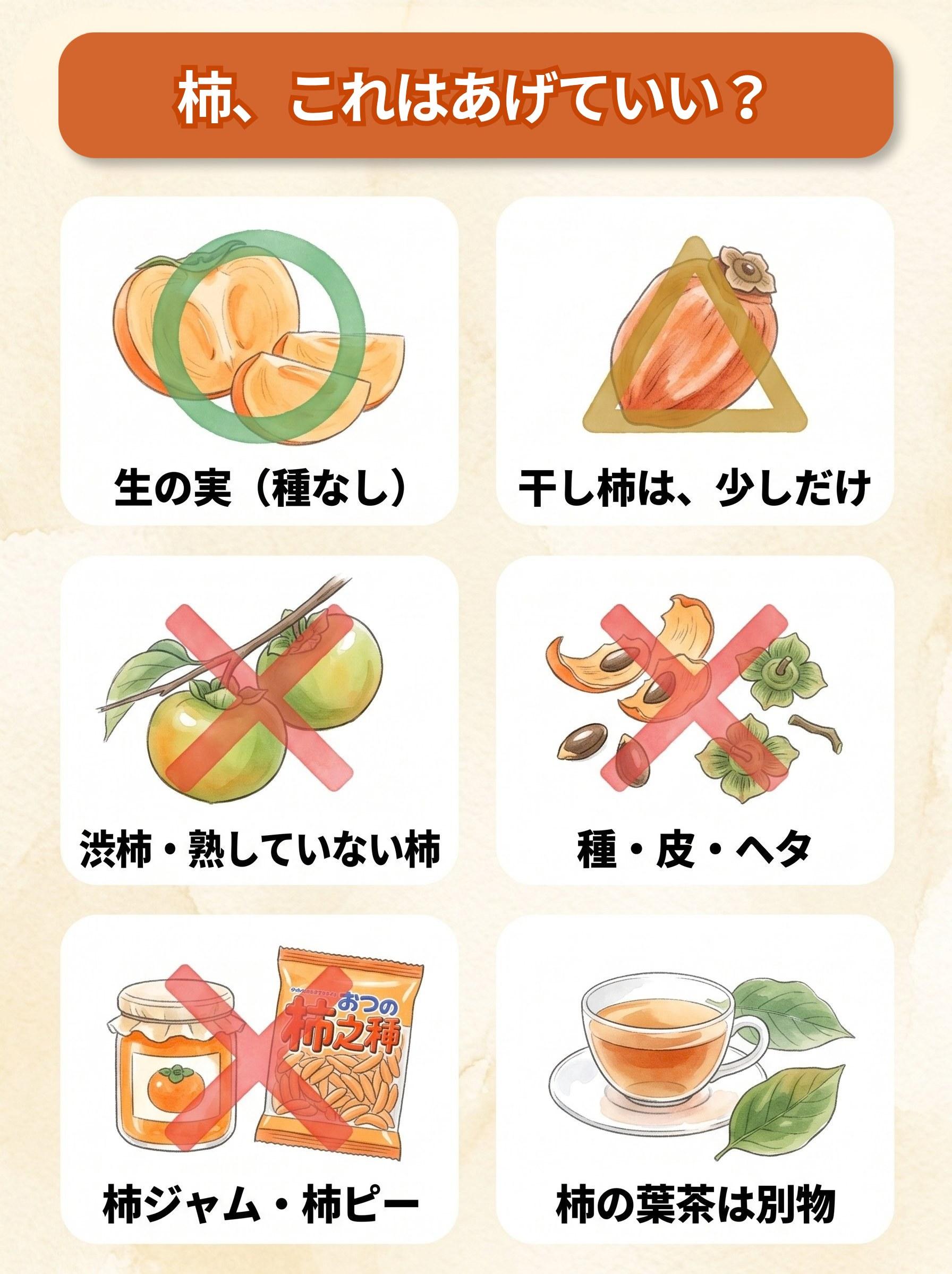 図解「柿、これはあげていい?」:生の実(○)/干し柿(△・少しだけ)/渋柿・熟していない柿(×)/種・皮・ヘタ(×)/柿ジャム・柿ピー(×)/柿の葉茶(別物)の6コマ