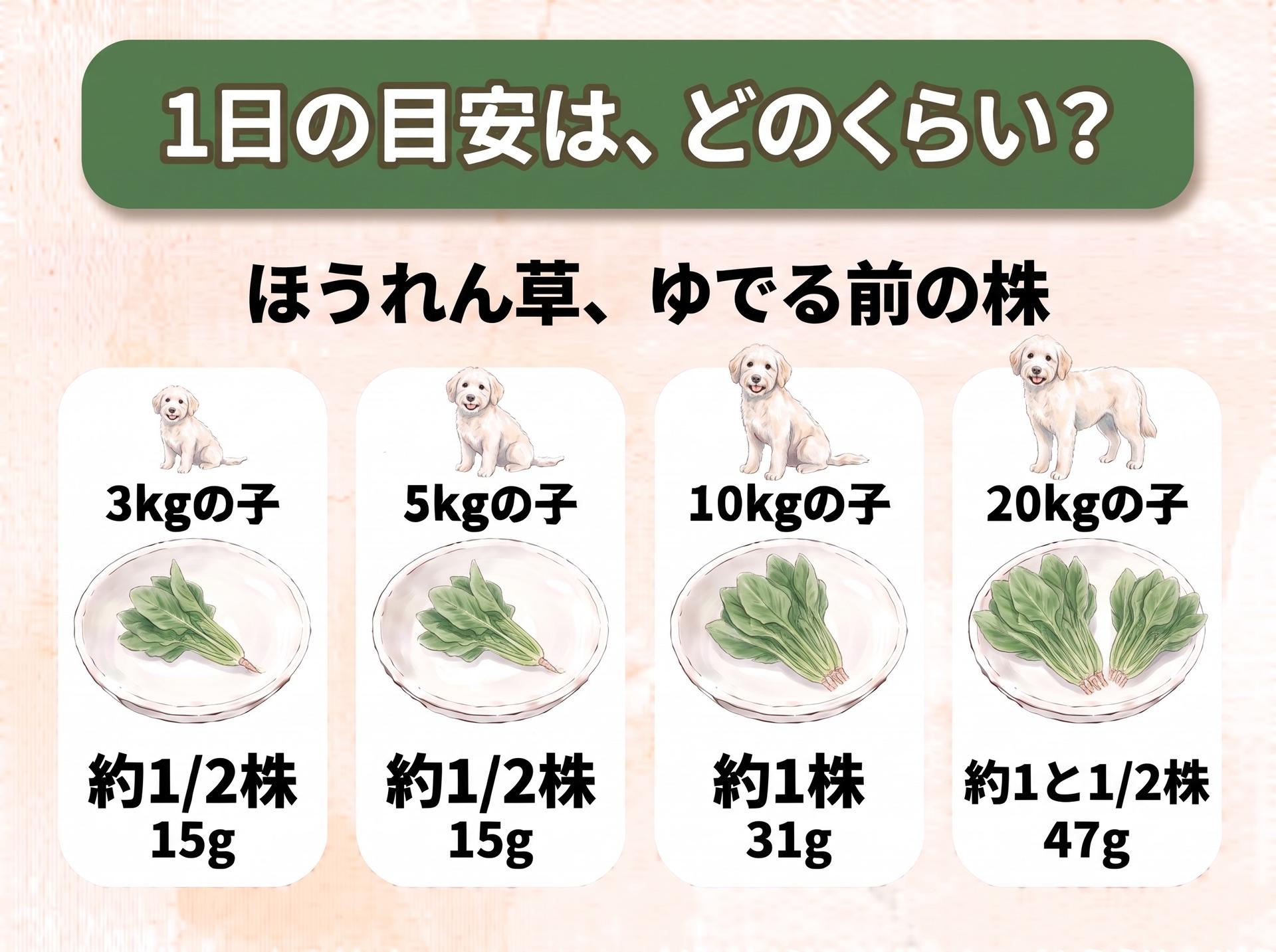 図解「1日の目安は、どのくらい?」ほうれん草、ゆでる前の株(体重に合わせて大きさの違う犬のイラストつき):3kgの子は約1/2株(15g)、5kgの子は約1/2株(15g)、10kgの子は約1株(31g)、20kgの子は約1と1/2株(47g)